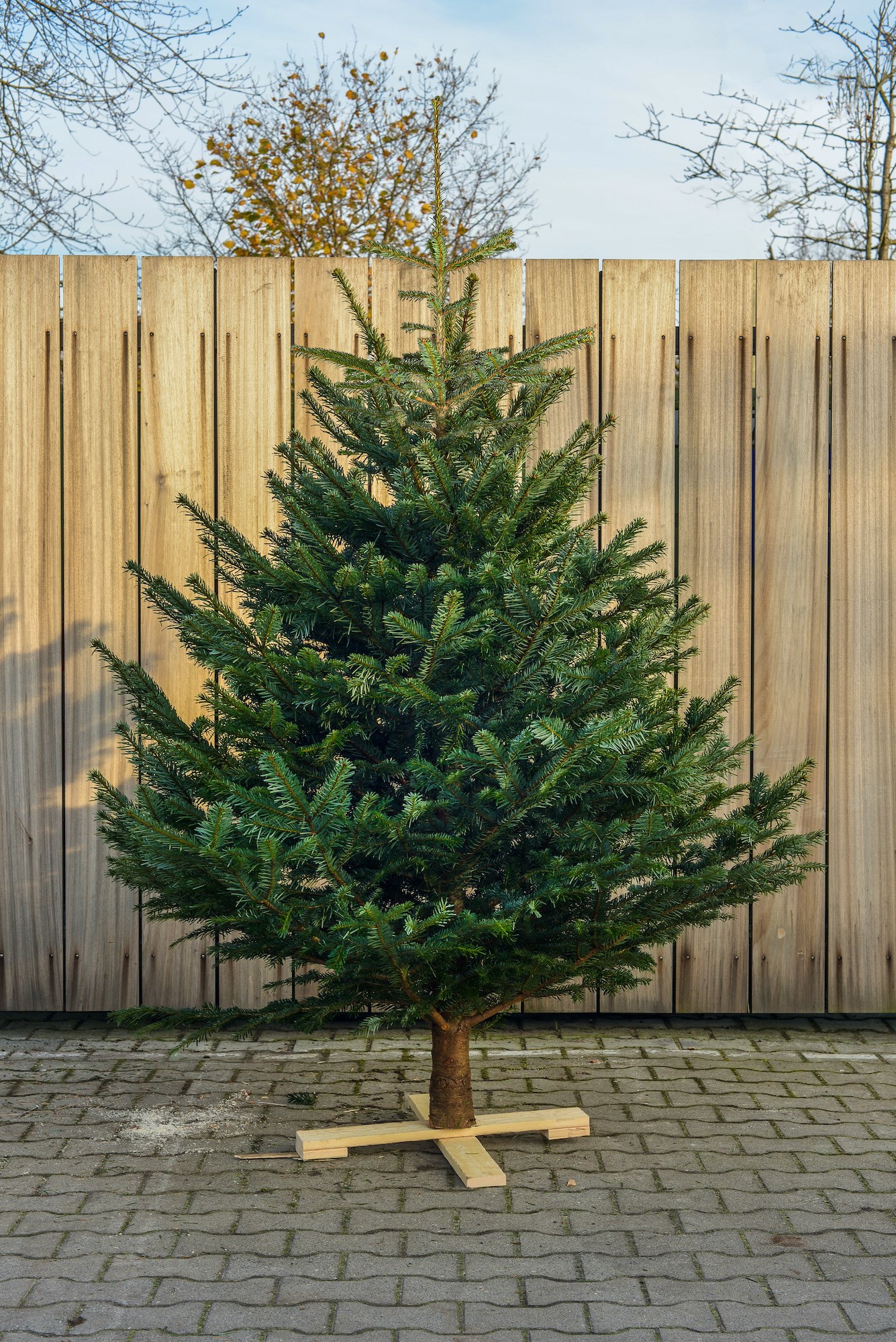 kerstboom bestellen friesland nordmann