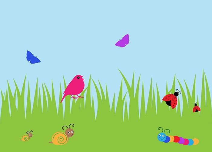 Afbeelding bij Biodiversiteitsdag 2021