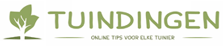 Afbeelding bij Camelia - Camellia sas. 'Cleopatra'