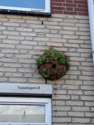 Afbeelding bij Creatief met vogelhuisjes