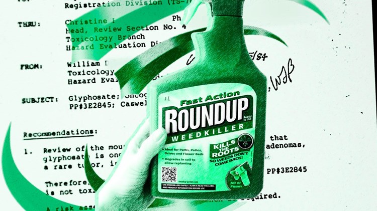 Afbeelding bij De macht van Monsanto