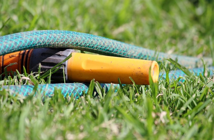 Afbeelding bij De tuin water geven in tijden van droogte