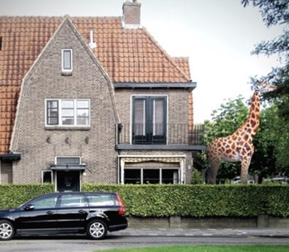 Afbeelding bij Dierentuin of Dier en Tuin