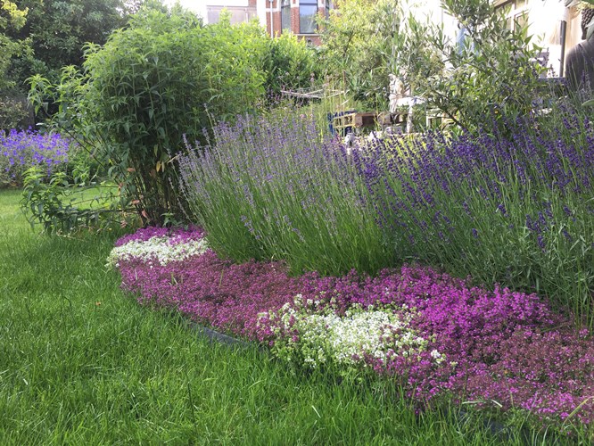 Afbeelding bij Diervriendelijk tuinieren: meer dan lijstjes volgen. (deel 1)