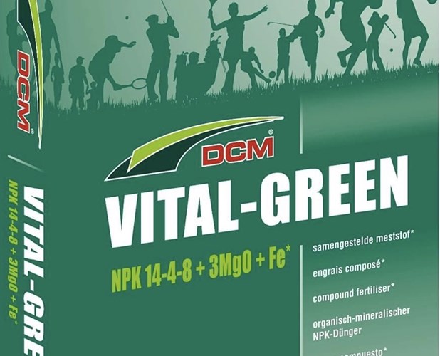 Afbeelding bij Een groene grasmat in de zomer