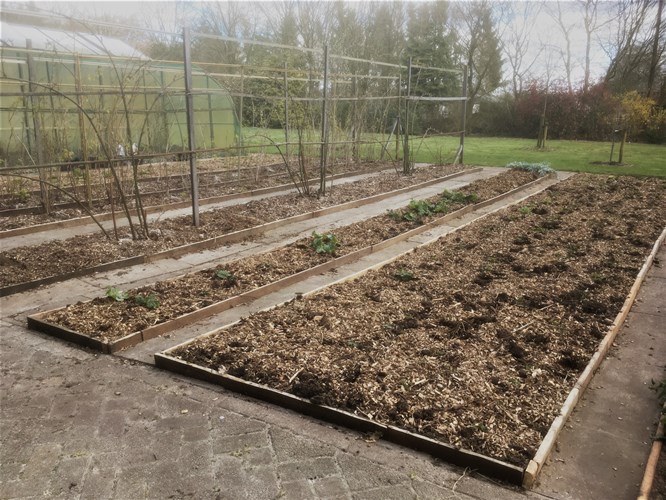 Afbeelding bij Fabels inzake houtsnippers
