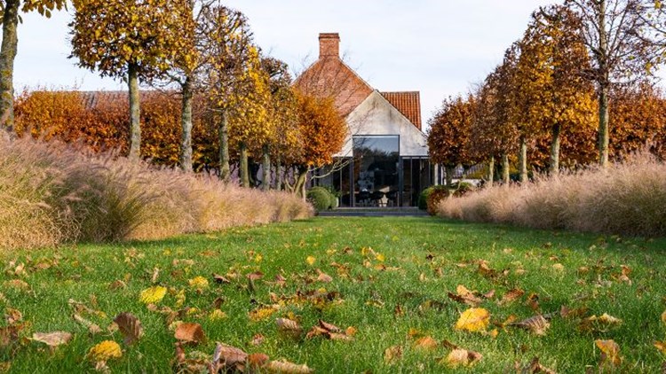 Afbeelding bij Gazon sterk de winter in