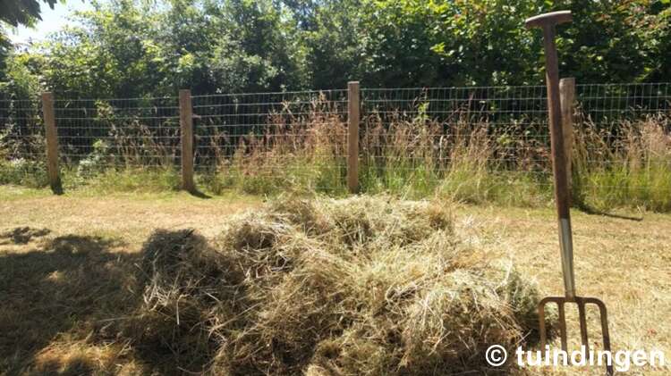 Afbeelding bij ​Groene voorbereiding is het halve werk