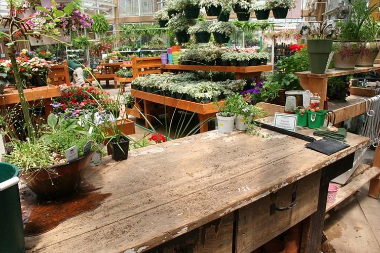 Grootste tuincentrums verkopen nog steeds planten met pesticiden.