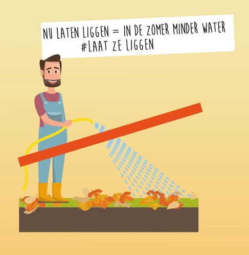 Afbeelding bij Herfstbladeren laten liggen 4 tips