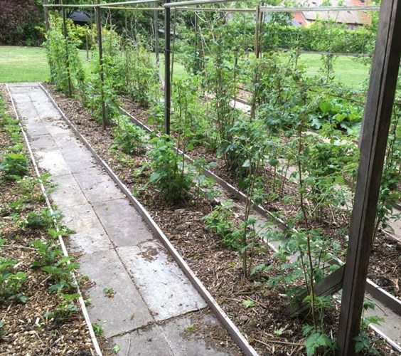 Afbeelding bij Houtsnippers: Ideale bodembedekker, en Organische mest