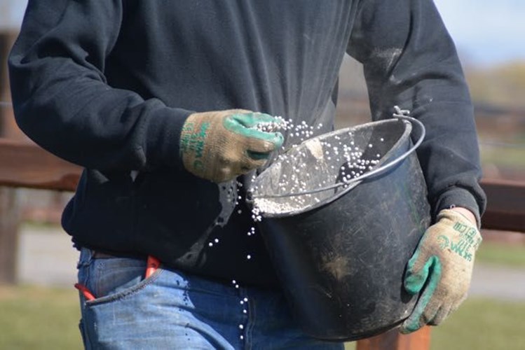 Afbeelding bij Kalk meststoffen strooien in het voorjaar kan dat?