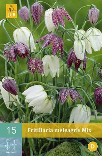 Afbeelding bij Kievitsbloem - Fritillaria meleagris