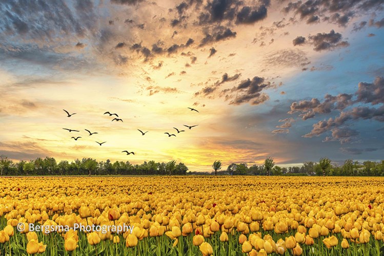 Afbeelding bij Klein kijken of niet?