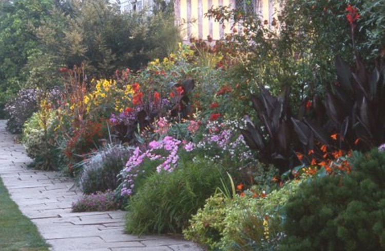 Betere Kleurrijke border met vaste planten TY-24