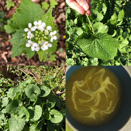 Afbeelding bij Look-zonder-look 