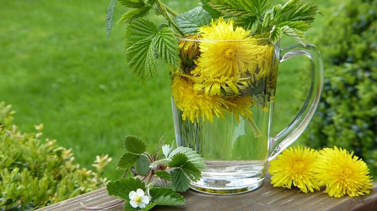 Afbeelding bij Meerjarige planten voor een eetbare tuin