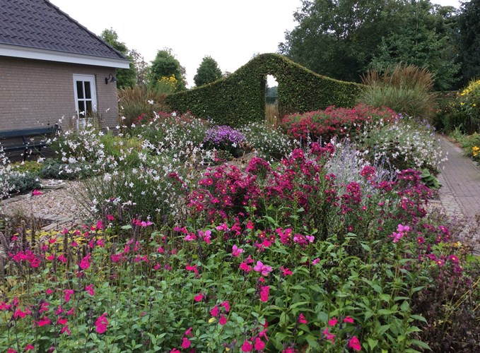 Afbeelding bij Ook in het najaar kun je een mooie tuin hebben