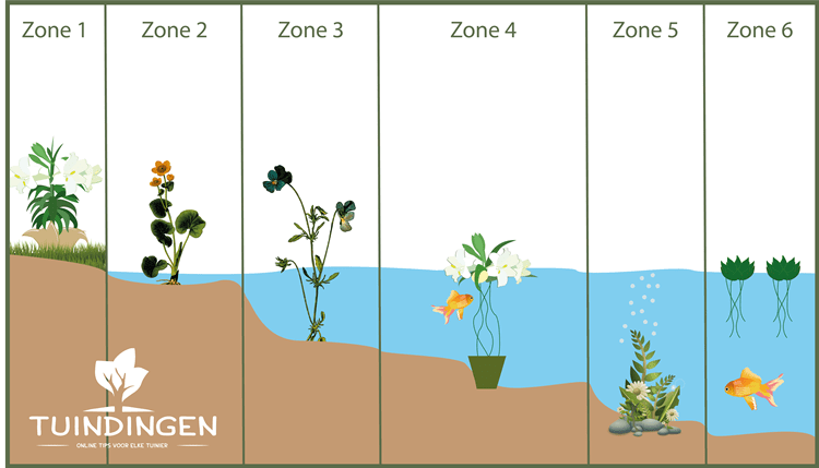 Op welke diepte plaats mijn waterplanten