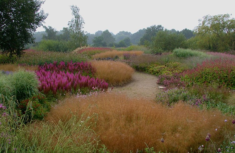 Afbeelding bij Piet Oudolf bekroond door Britse Society of Garden Designers (SGD)