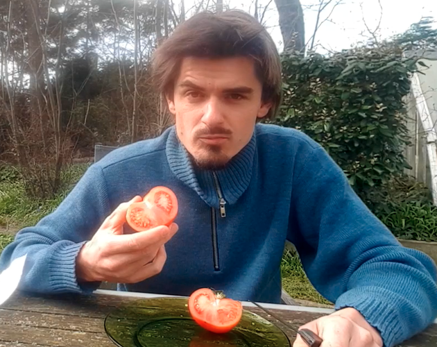 Afbeelding bij Quarantine Gardening