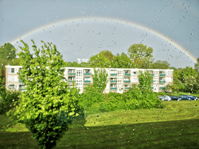 Afbeelding bij Regenboog