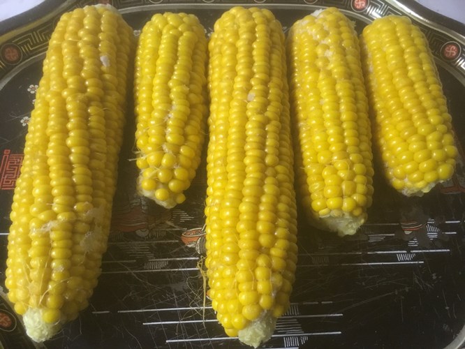 Afbeelding bij Rendement van je moestuin
