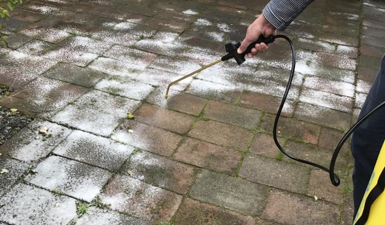 Afbeelding bij Risico’s van azijn bij de bestrijding van onkruid