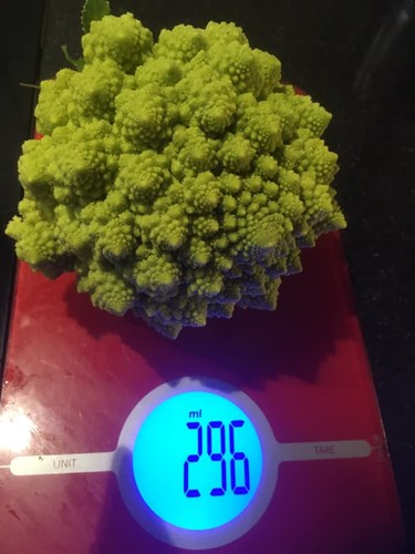 Afbeelding bij Romanesco (Broccoli uit Rome)