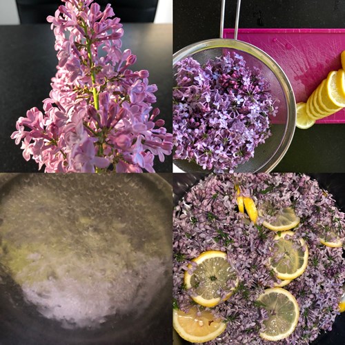 Afbeelding bij seringen 