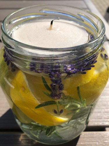 Afbeelding bij Smalle weegbree, bijvoet en muggen