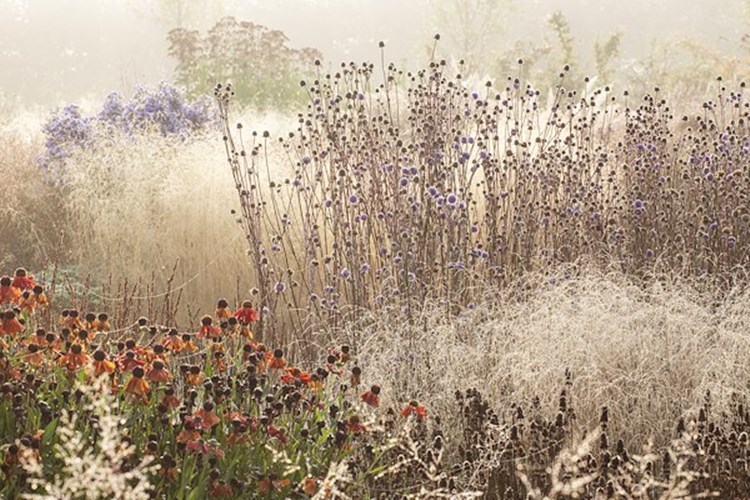 Afbeelding bij Tentoonstelling over Piet Oudolf en LOLA Landscape