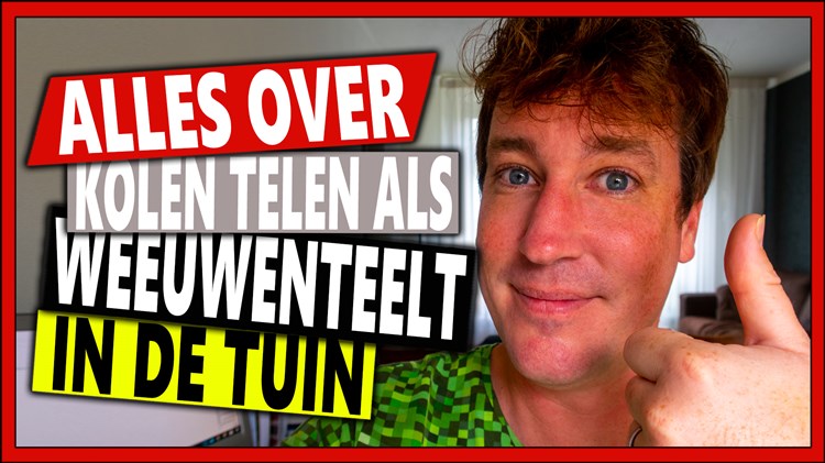 Afbeelding bij Weeuwenteelt, een beproefde manier voor 100% biologische kolen