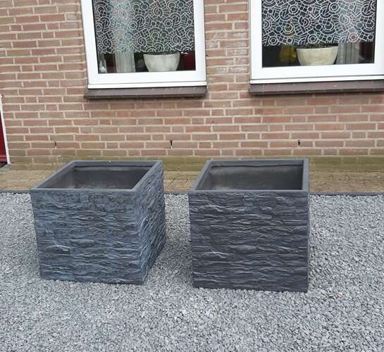 Afbeelding bij Welke planten in bloembakken voor mijn Japanse tuin