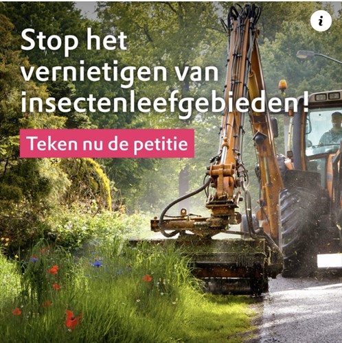 Afbeelding bij Zet de parken, slootkanten, groenstroken weer in bloei.