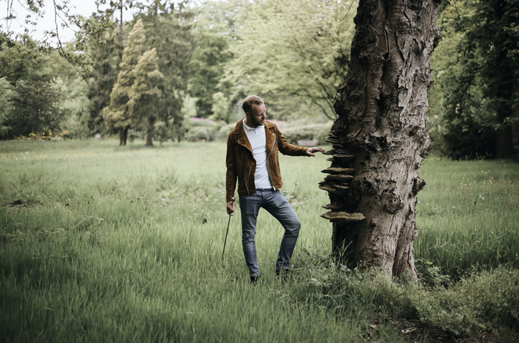 Afbeelding bij Ziektes en aantastingen in bomen