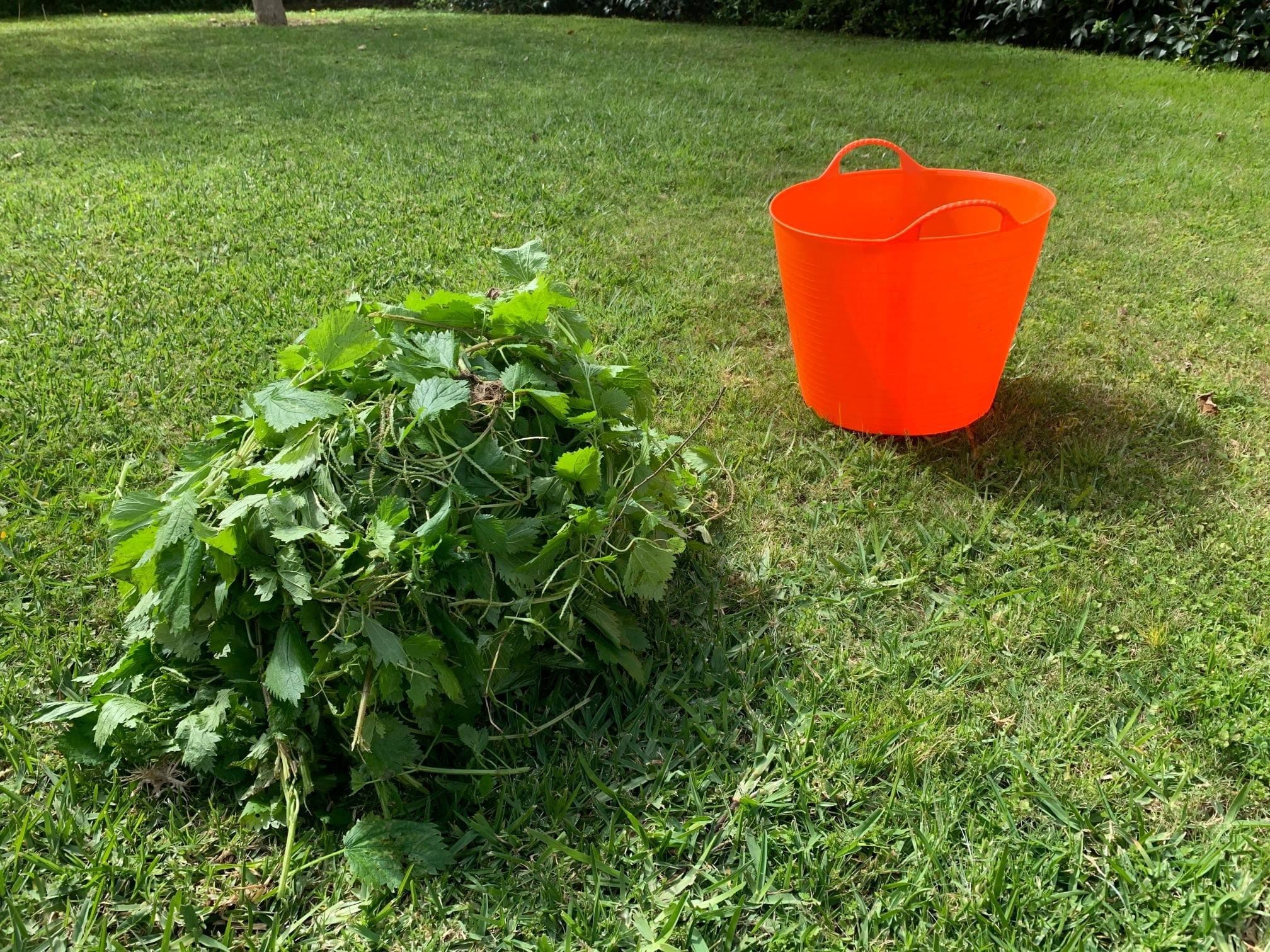 Brandnetelbladeren meststof maken voor groente en vaste planten