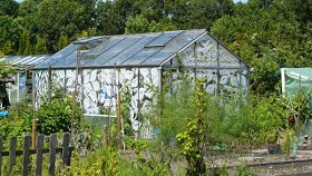 Kas-kleuren-uitdroging-hitte-zomer-afkoelen