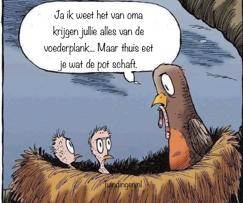 Vogels voeren hele jaar door mag dat