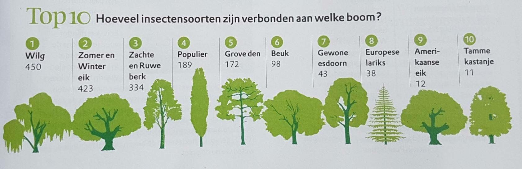 Bomen voor insecten en bijen