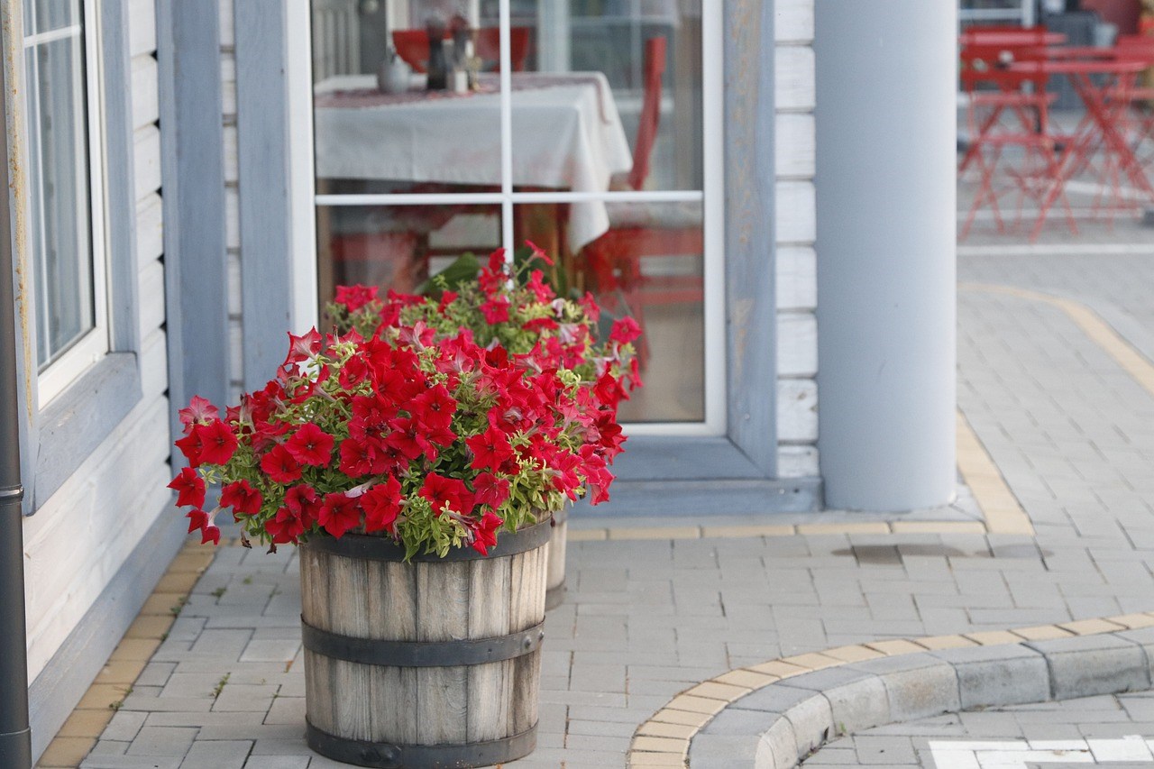 Petunia’s-potplanten-bloemen-zomer-bloembak-planten