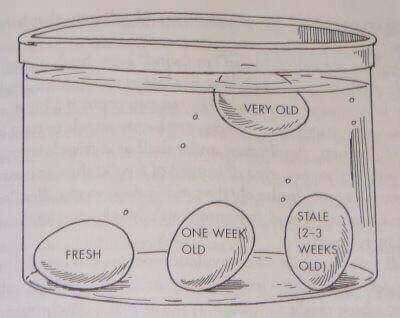 controle-eieren-als-ze-nog-goed-zijn-of-juist-niet