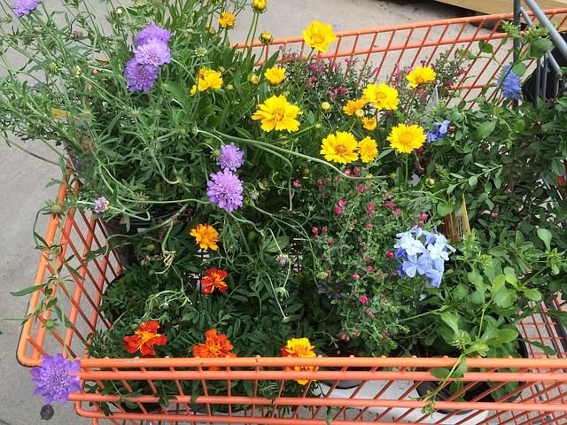 Bestrijdingsmiddelen op planten van tuincentrum dood insecten