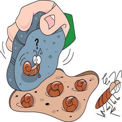 Leefgebied van pissebed in de tuin in rommelhoekjes