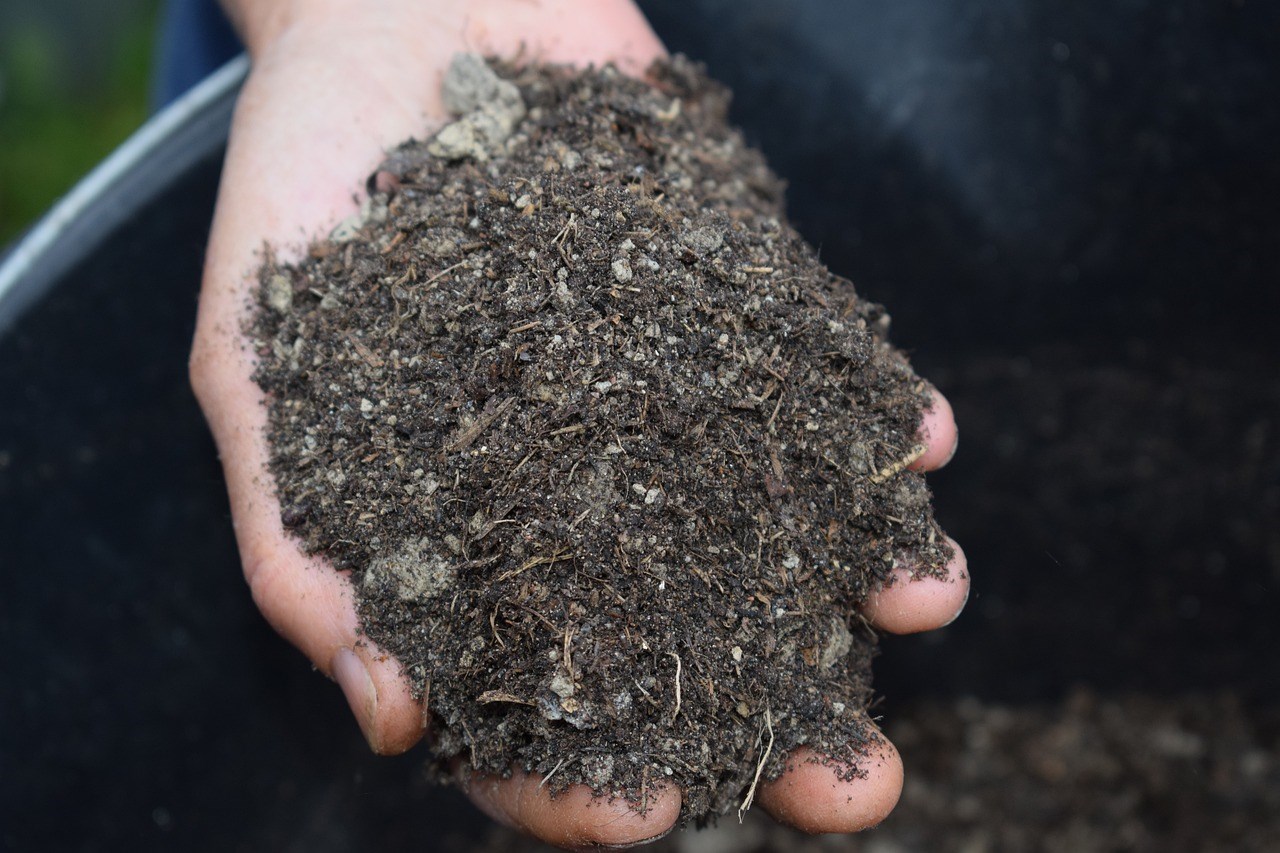 Eikenblad Mulchen hergebruik compost 