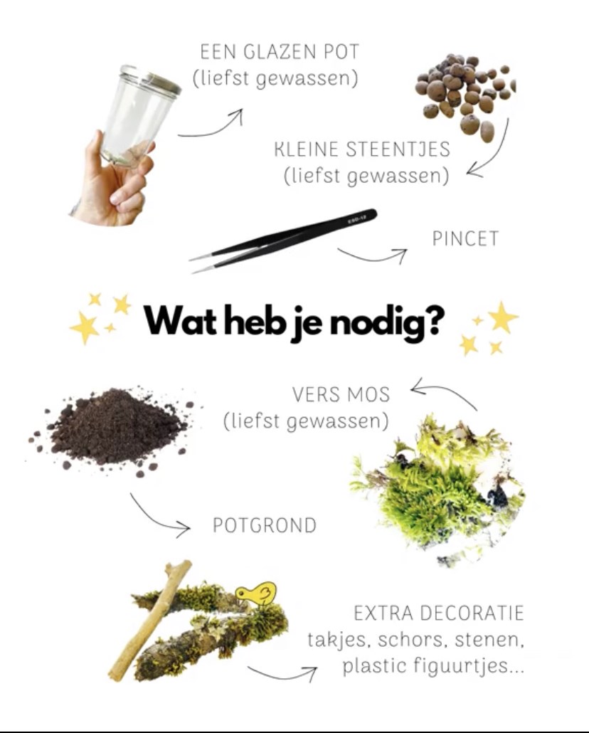 Ecotuintje-in-een-pot