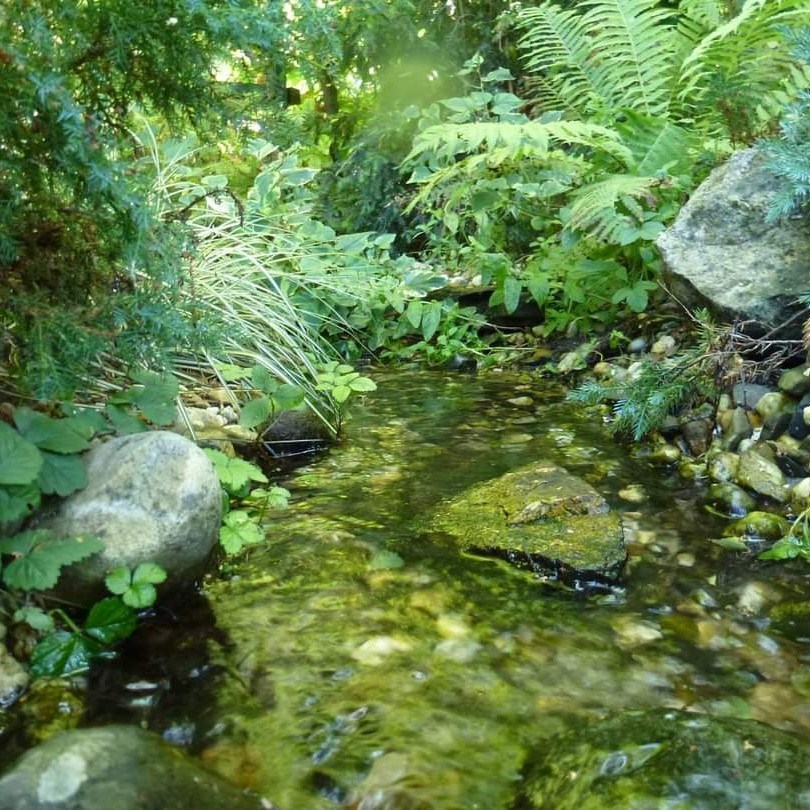 Natuurlijk beplanten van een beekloop bij de vijvertuin