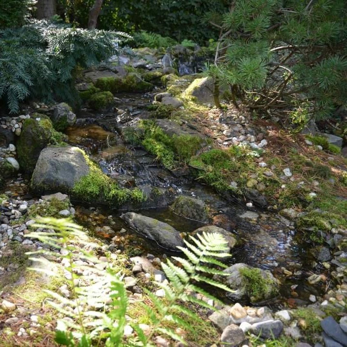 Natuurlijke beekloop bouwen tips vijver voorbeeld