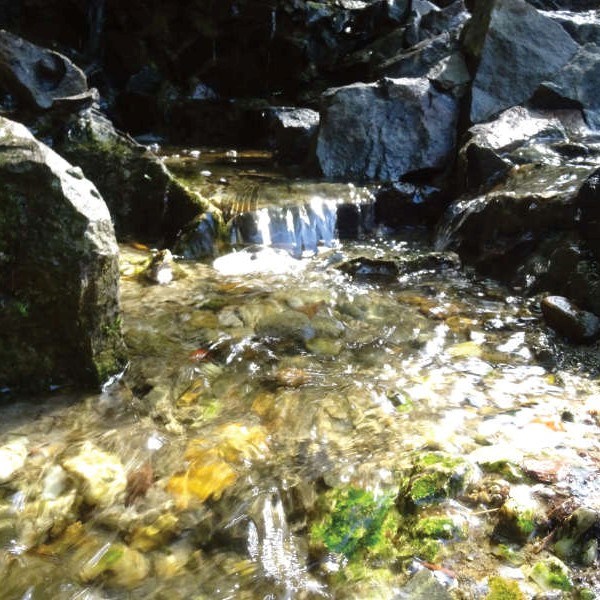 Waterval laten bouwen met natuurlijke stroming