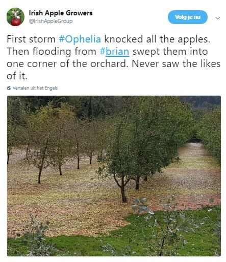 Stormschade fruitbomen